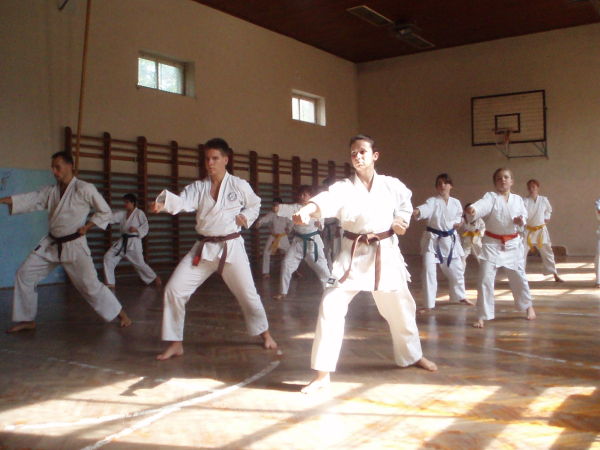 Tpigyrgyei edztbor 2008