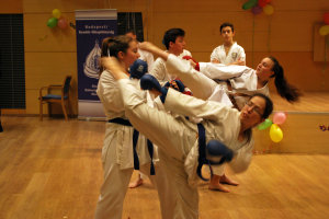 Karate bemutat - A BRFK Farsangon