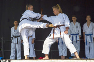 V. Rendr- s Tzoltnap - Karate bemutat