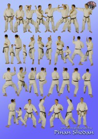 Pinan Shodan