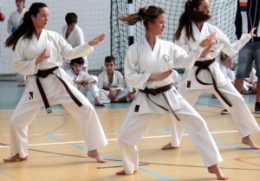 Galga-SZAC Kupa 2012 - Kata